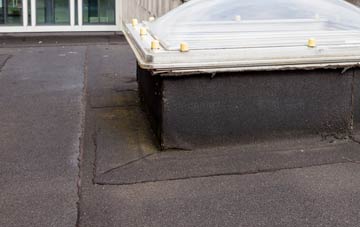 disadvantages of Catholes flat roofs