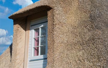 Catholes thatch roof disadvantages
