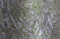 Catholes fibreglass roof work