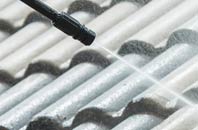 rated Catholes roof cleaning companies