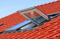 Catholes roof window